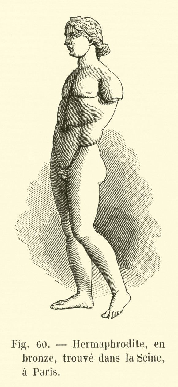 Hermaphrodit, in Bronze, gefunden in der Seine, Paris (Gravur) von French School