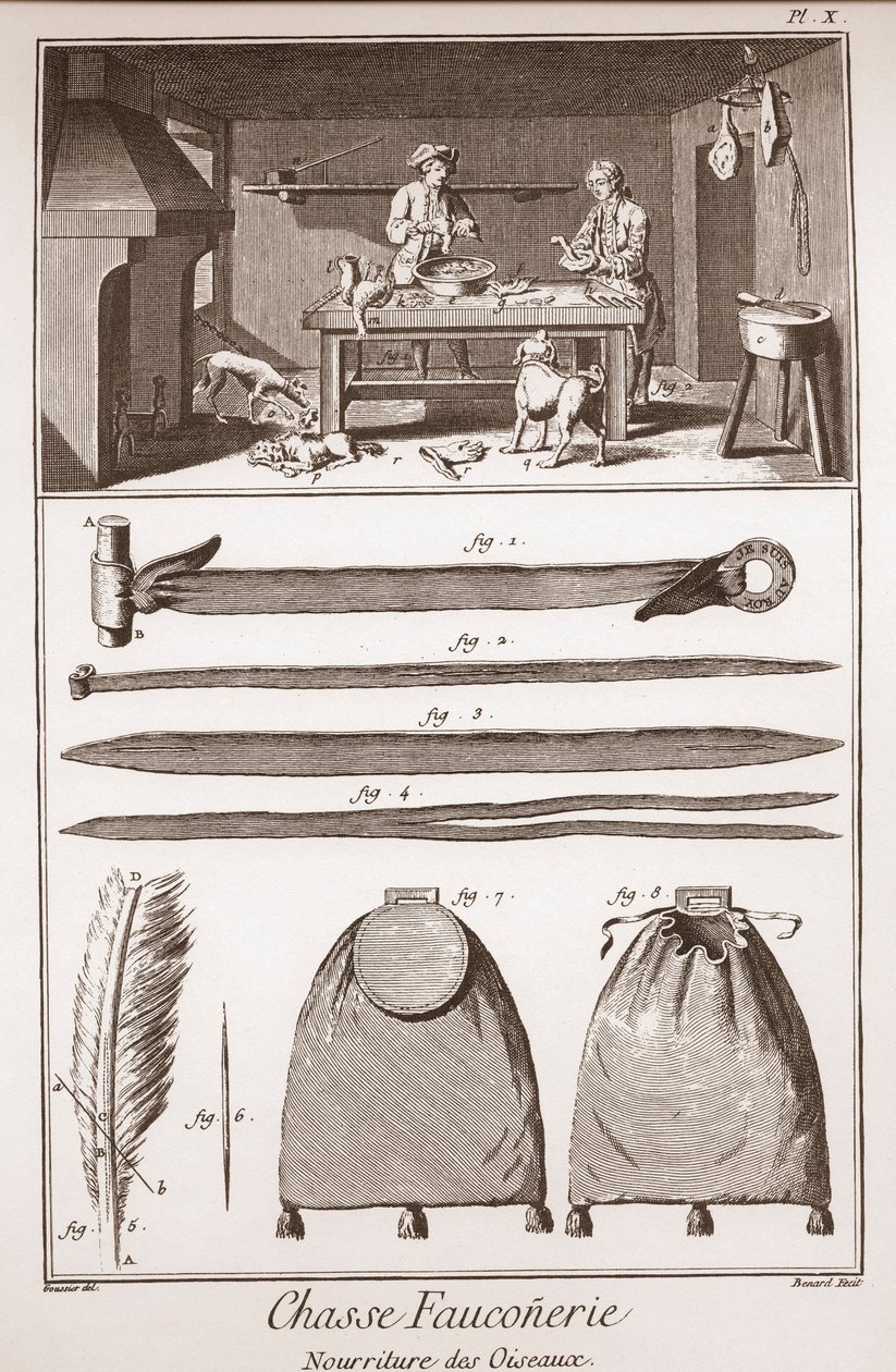 Jagd - Falknerei - Fütterung der Vögel - Gravur von Benard nach Goussier - „Die große Enzyklopädie, oder Wörterbuch der Wissenschaften, Künste und Berufe“ von Denis Diderot (1713 von French School