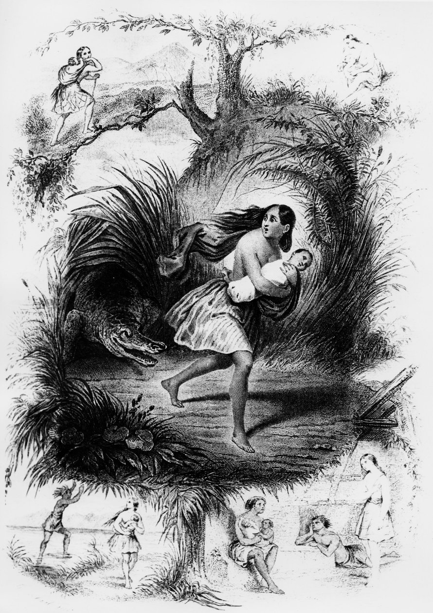 Illustration des Romans "Les Natchez" von Francois Rene de Chateaubriand von French School