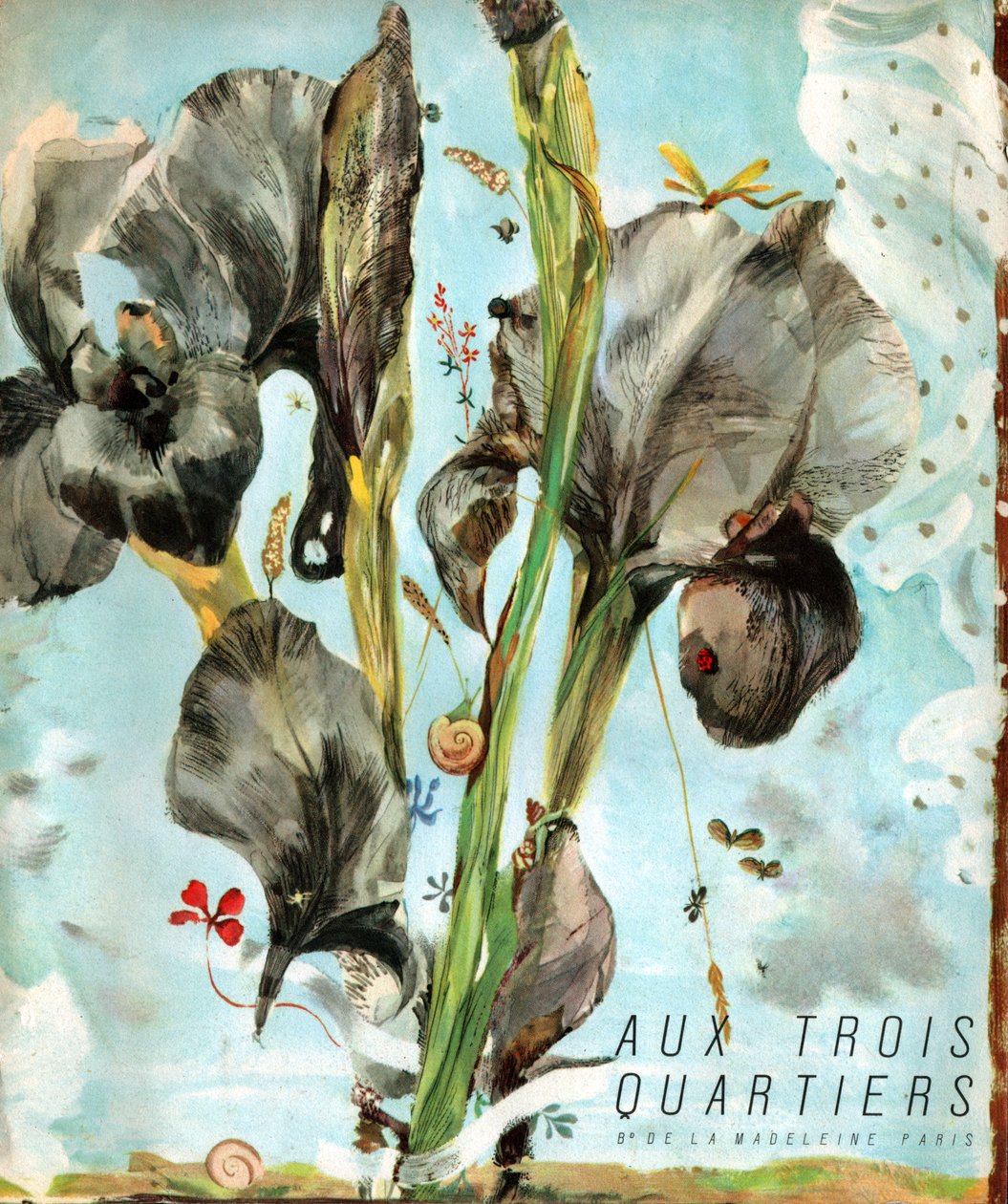 Iris (Blume) von French School