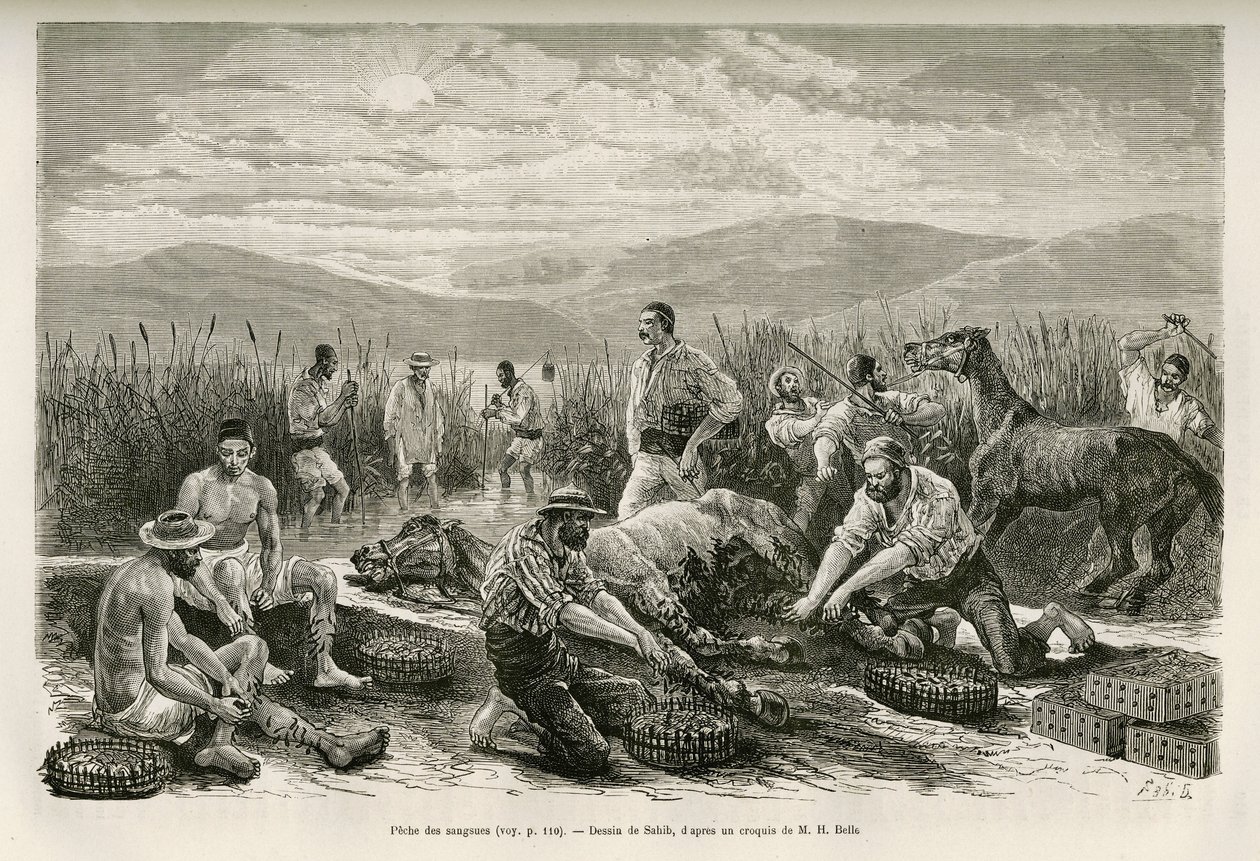 Der Blutegel-Fang, Zeichnung von Sahib, zur Illustration der Geschichte von Henri Belle: Reise nach Griechenland von French School