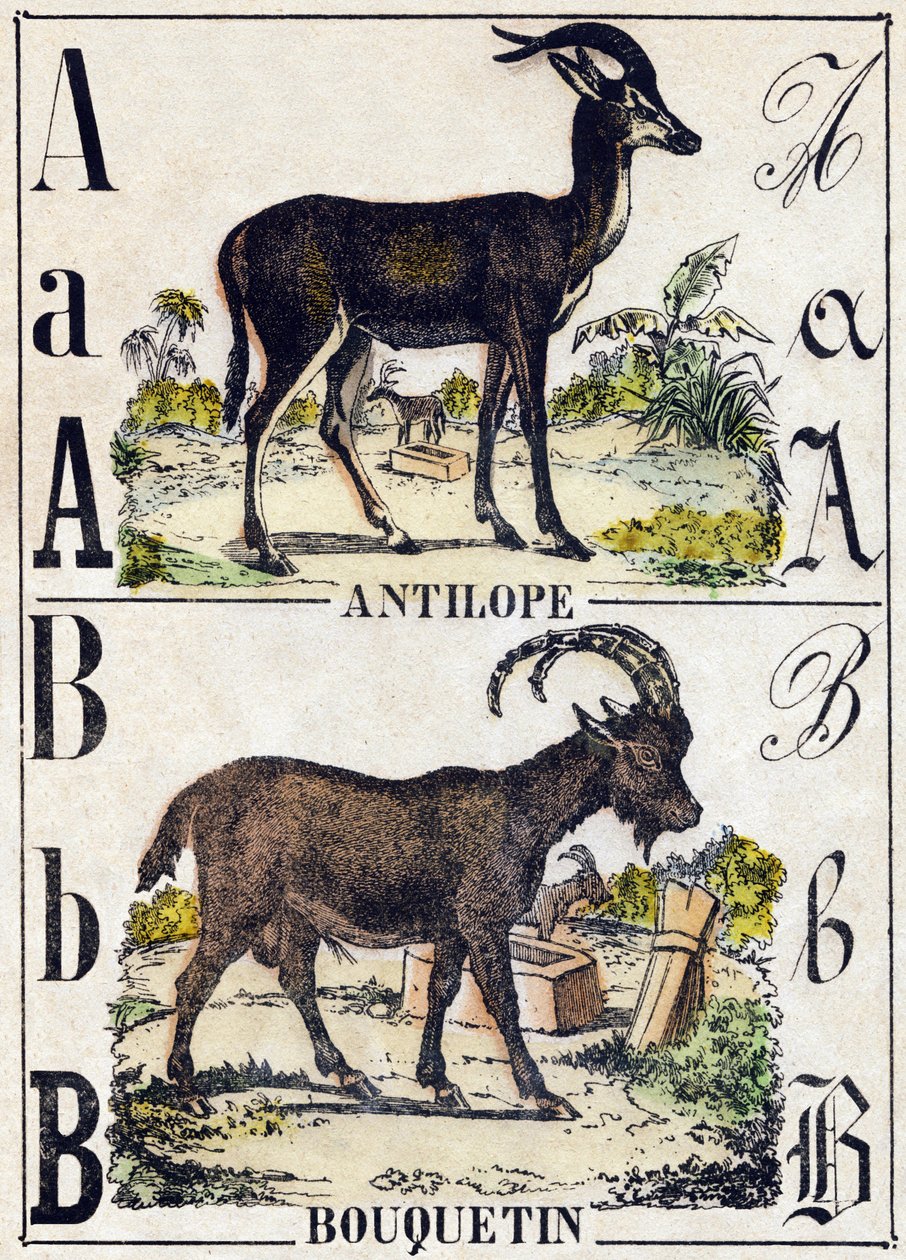 Buchstabe A Antilope; B Steinbock. Gravur in "Alphabet der wilden Tiere". 9. Serie. Bildersammlung von Epinal, Pellerin, Drucker-Verleger, um 1870 von French School