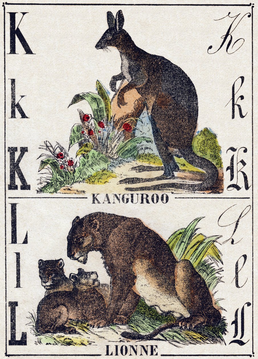 Buchstabe K L; K Känguru; L Löwin. Gravur in "Alphabet der wilden Tiere". 9. Serie. Bildersammlung von Epinal, Pellerin, Drucker-Verleger, um 1870 von French School