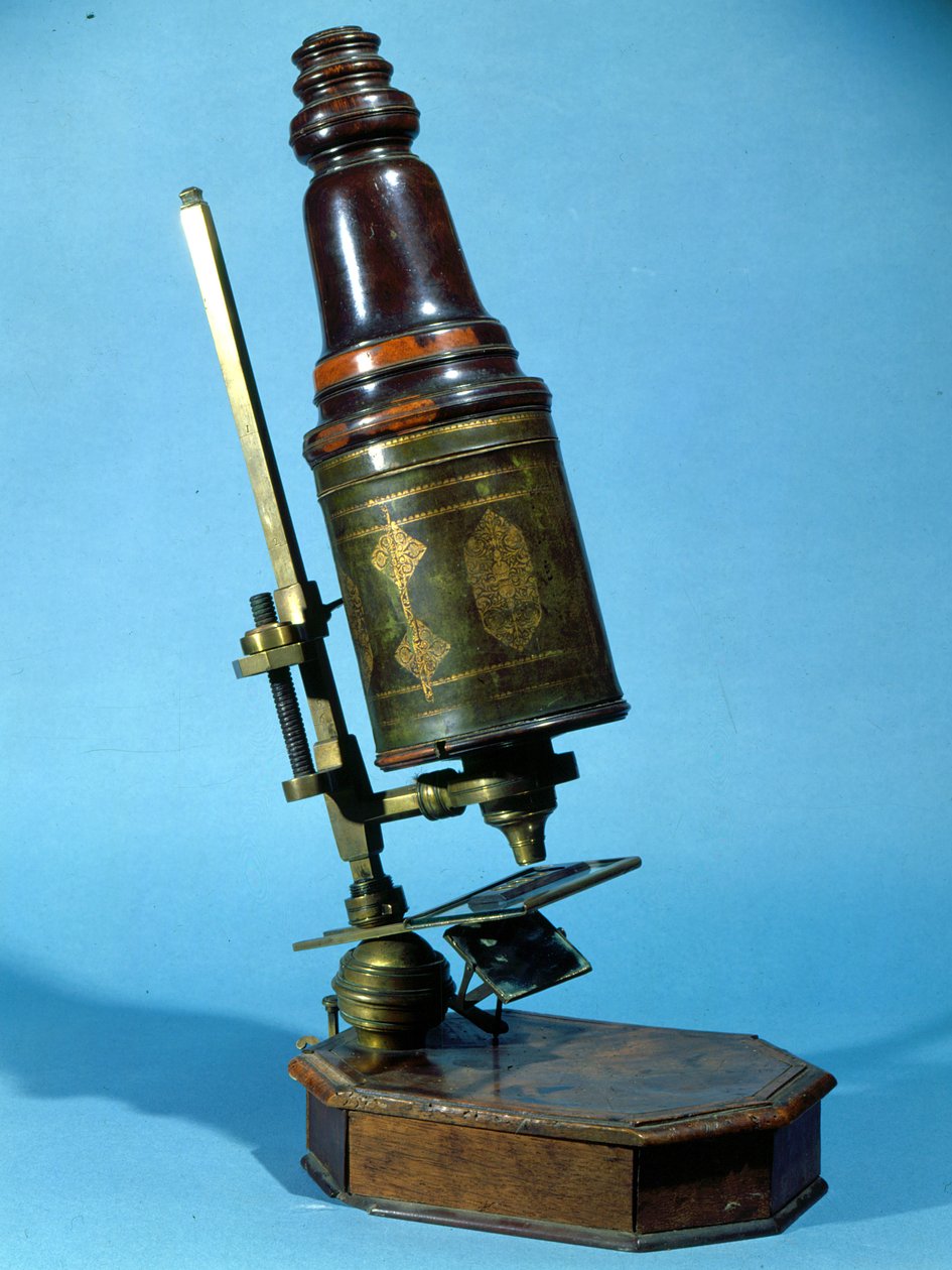 Mikroskop (Holz & Messing) von French School