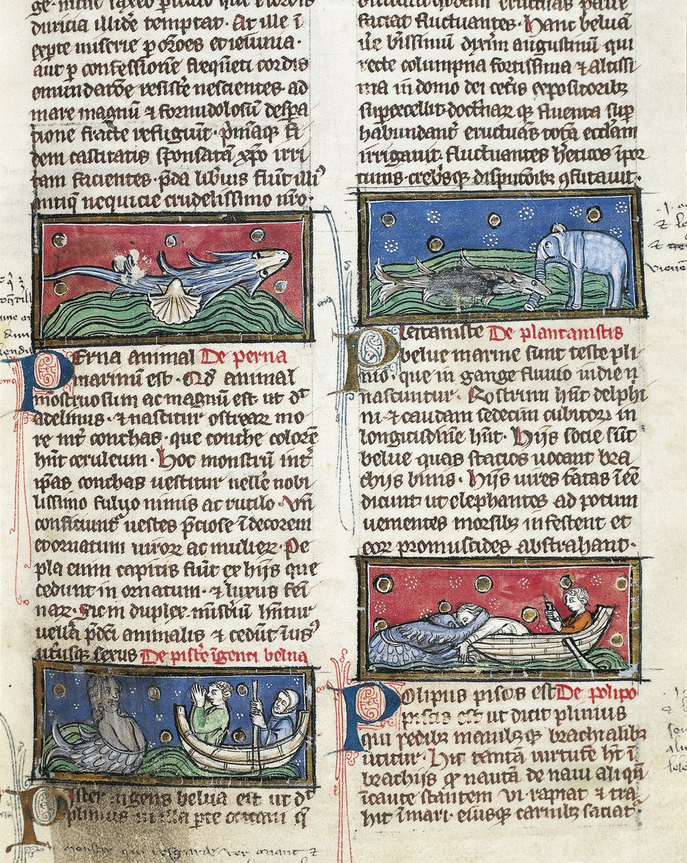 Ms 320 Fol.116 Seemonster, aus 