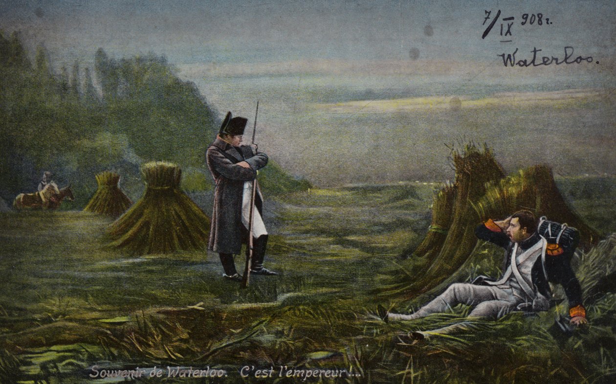 Napoleon bei Waterloo von French School