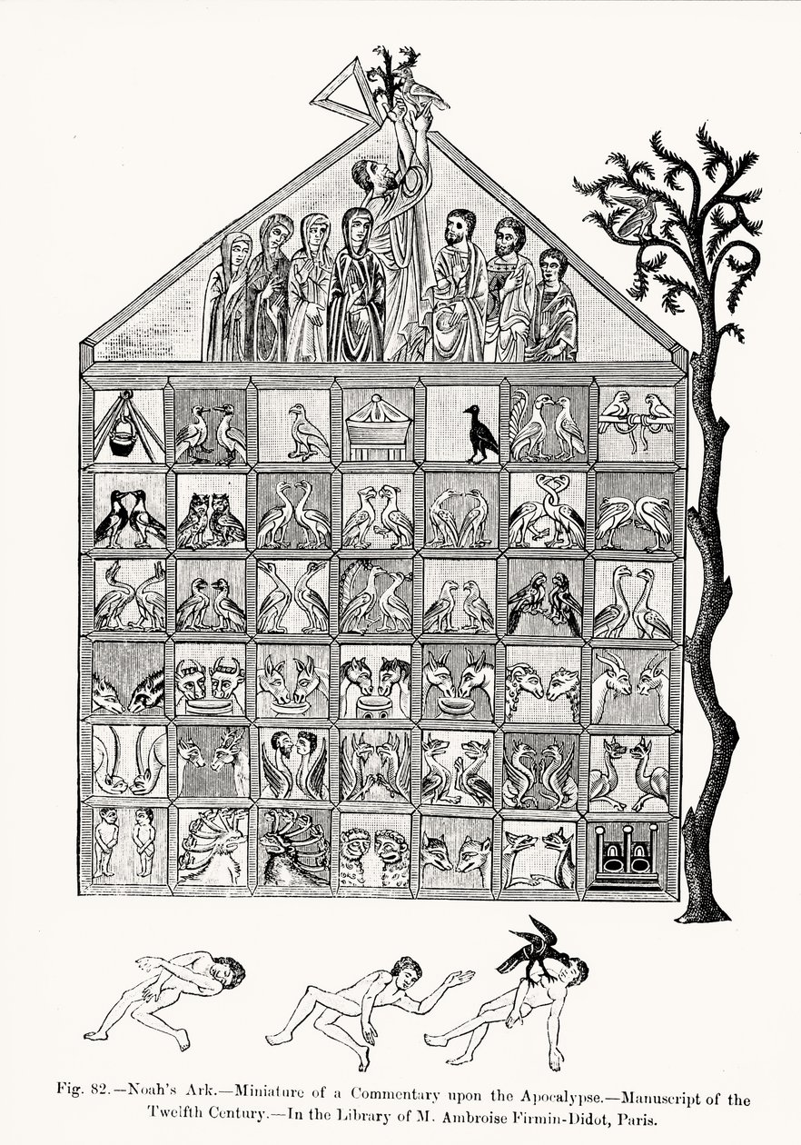 Noahs Arche, Miniatur aus einem Kommentar zur Apokalypse, Illustration aus Wissenschaft und Literatur im Mittelalter und der Renaissance, geschrieben und graviert von Paul Lacroix, 1878 von French School