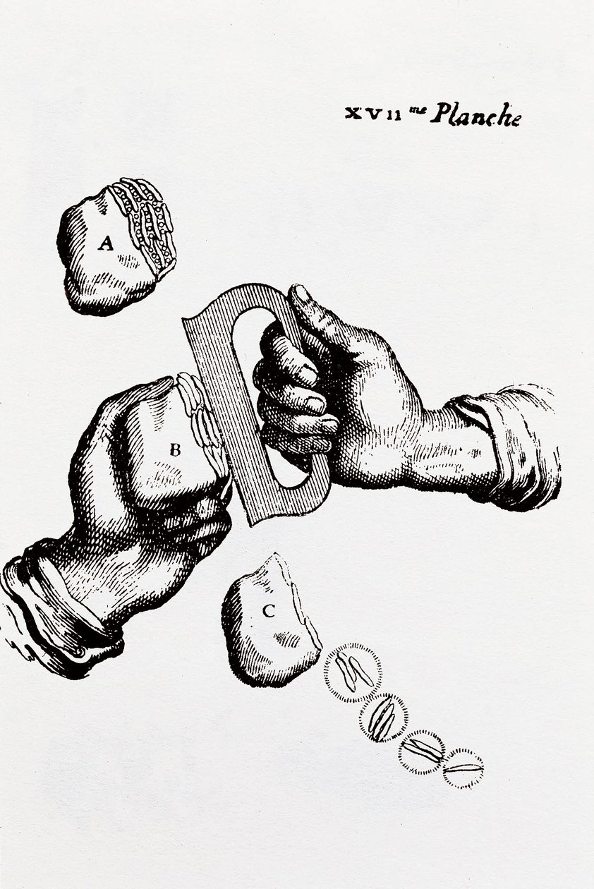 Seite aus "Les principes de philosophie" von René Descartes (1596-1650) von French School