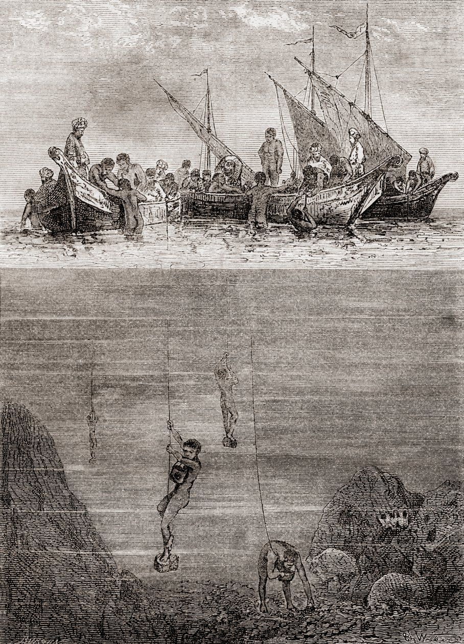 Perlentaucher vor der Küste der Insel Ceylon im 18. Jahrhundert, aus 