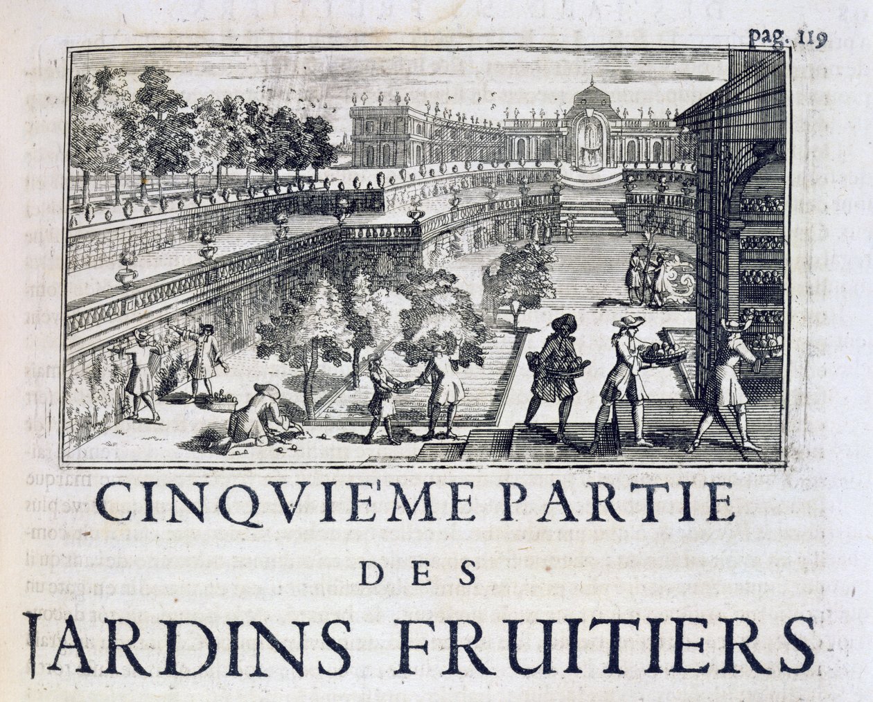 Obstbaumpflanzung, aus Le Parfait Jardinier, ou Instruction pour les Jardins Fruitiers et Potager, von Jean de la Quintinye, veröffentlicht 1695 von French School