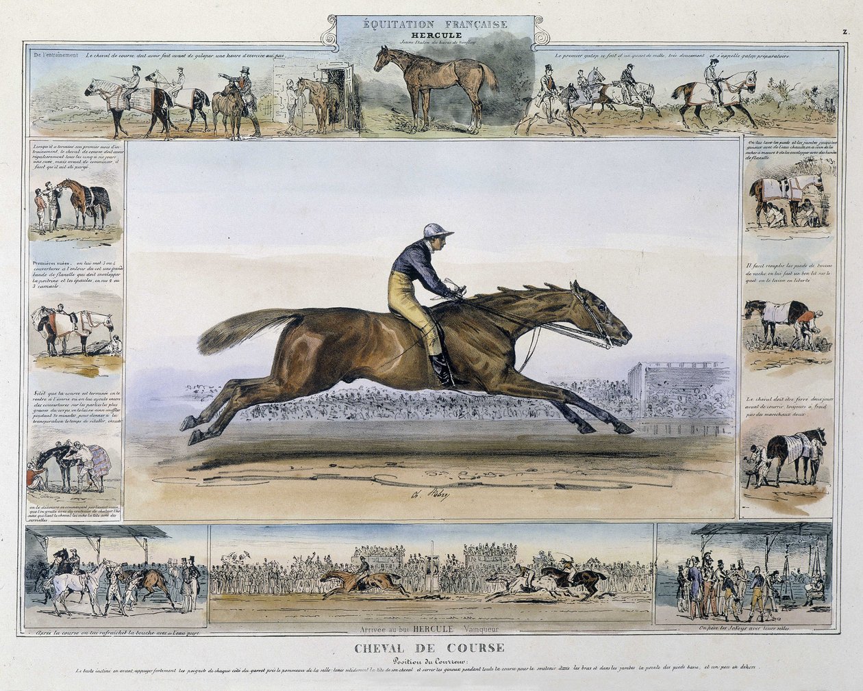 Rennpferd in „Bildergeschichte des alten und modernen Reitens“ von Charles Aubry von French School