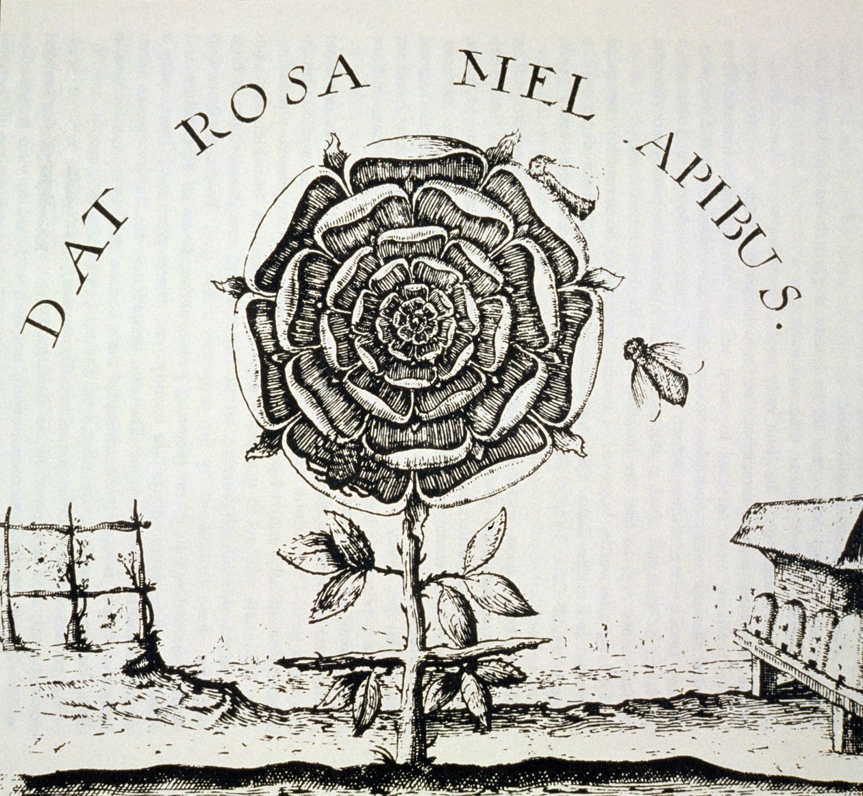 Rosenkreuzer-Allegorie, Kopie eines Kupferstichs von Johann Theodore de Bry (ca. 1598), verwendet in einer Geschichte der Magie, veröffentlicht Ende des 19. Jahrhunderts von French School