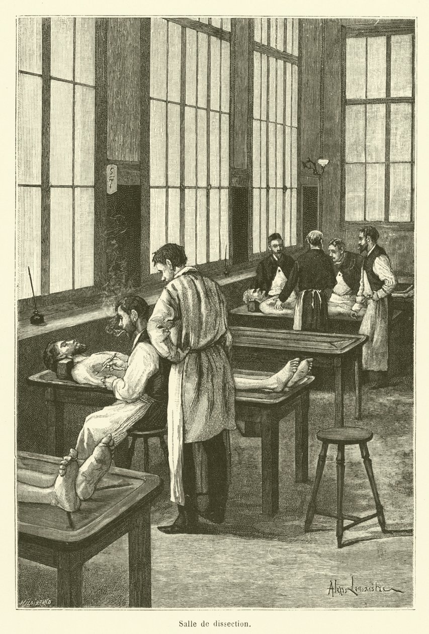 Seziersaal (Gravur) von French School