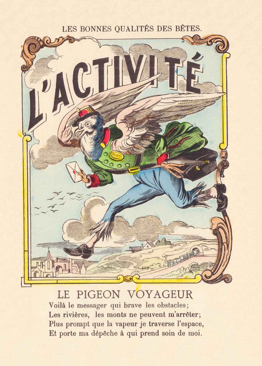 Die Aktivität. Die Wandertaube um 1900 von French School