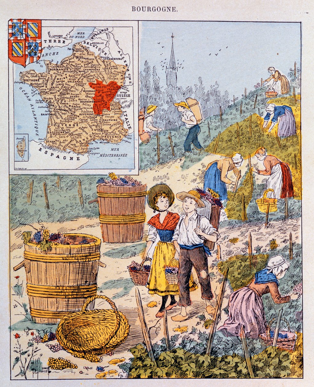 Die Weinlese in Burgund, Illustration aus einem Schulbuch, ca. 1910 von French School