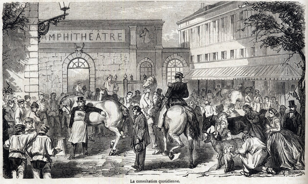 Die Nationale Veterinärschule von Alfort - Les grandes écoles de France - École vétérinaire de Maison Alfort im Jahr 1866 - Die tägliche Konsultation - Gravur in „Le monde illustré“ von 1866 von French School