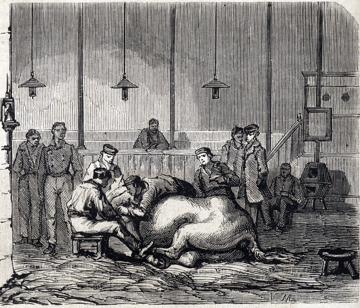 Die Nationale Veterinärschule von Alfort - Die großen Schulen Frankreichs - Veterinärschule von Maison-Alfort 1866 - Der Seziersaal - Gravur in „Le Monde Illustré“ 1866 von French School