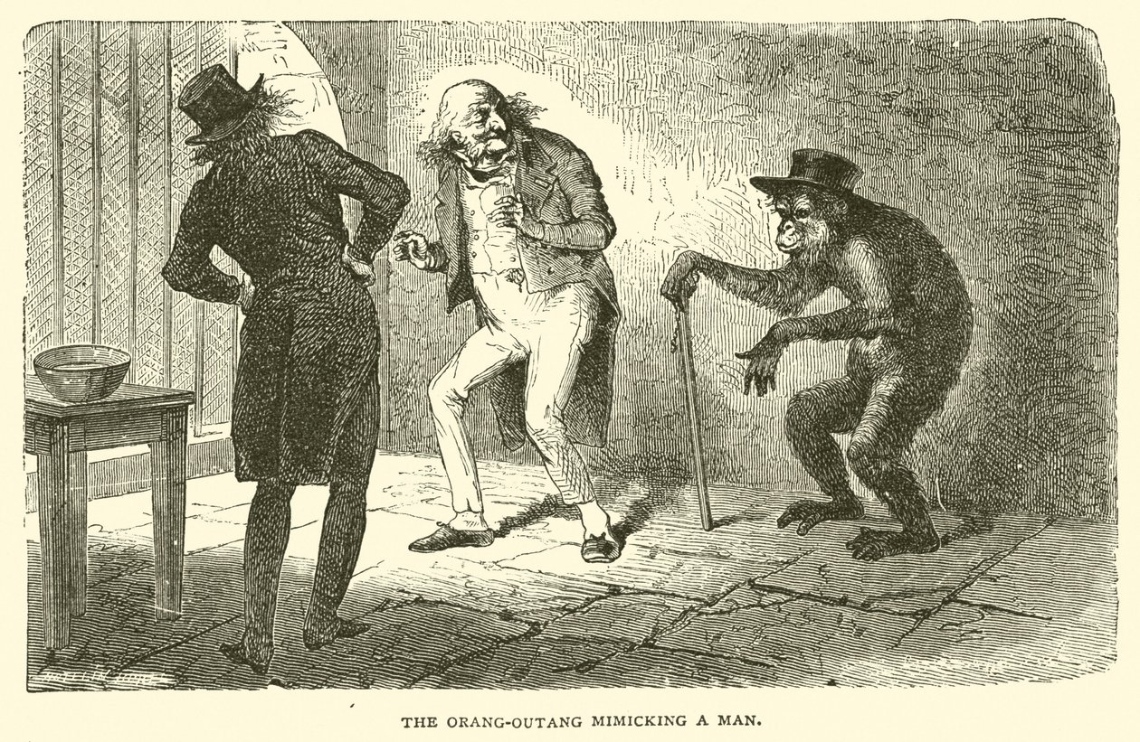 Der Orang-Utan, der einen Mann nachahmt von French School