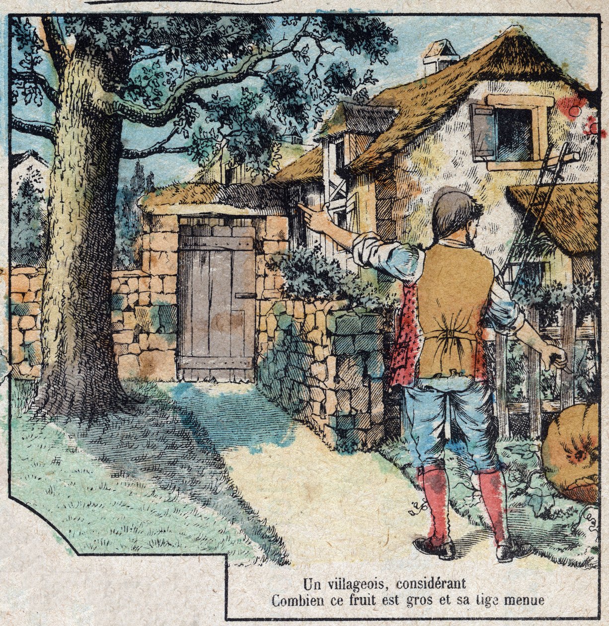 Die Eichel und der Kürbis. Fabeln von Jean de La Fontaine (1621-95). Epinal-Bildgebung Ende des 19. Jahrhunderts. von French School