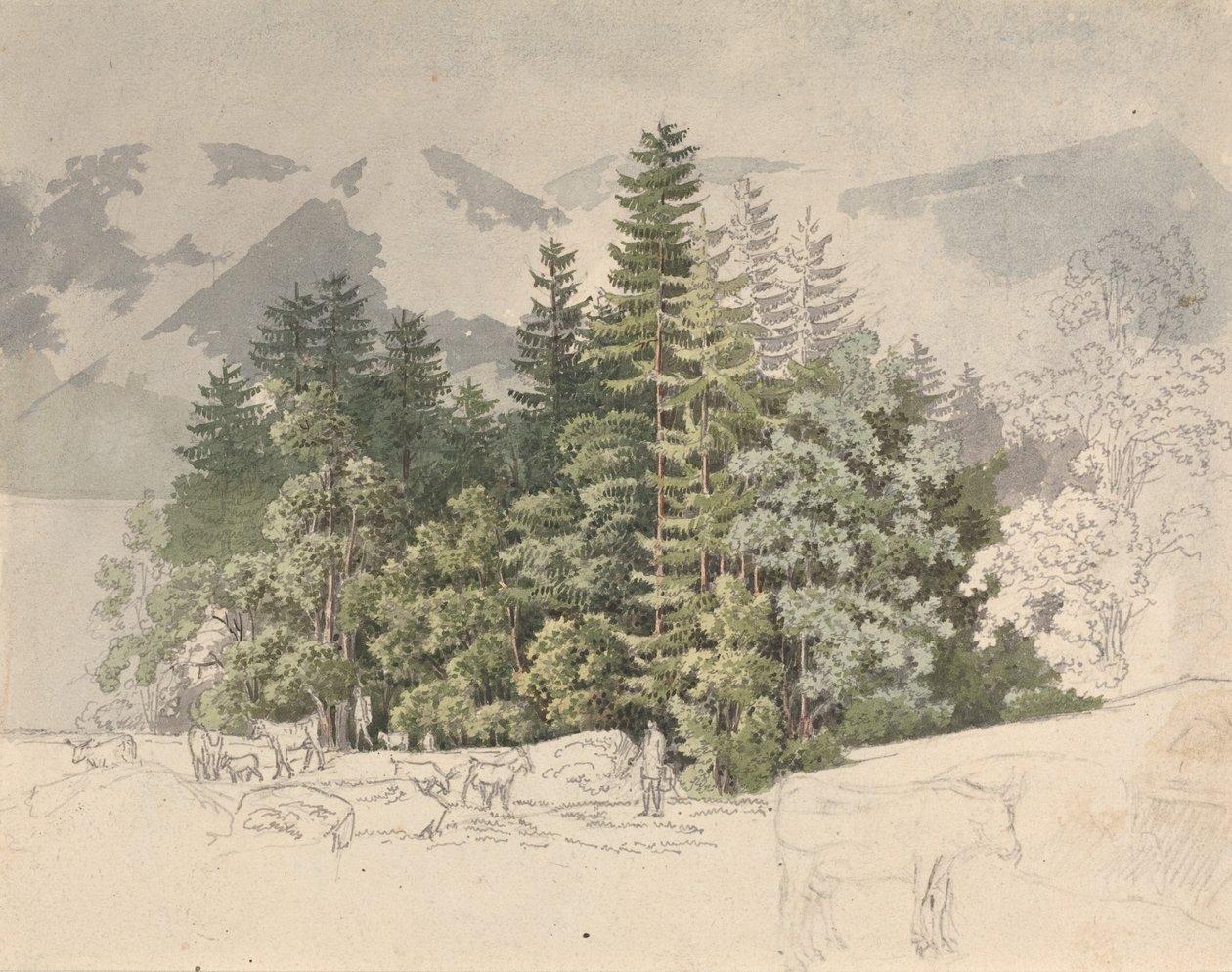 Alpenlandschaft von Friedrich Salathe