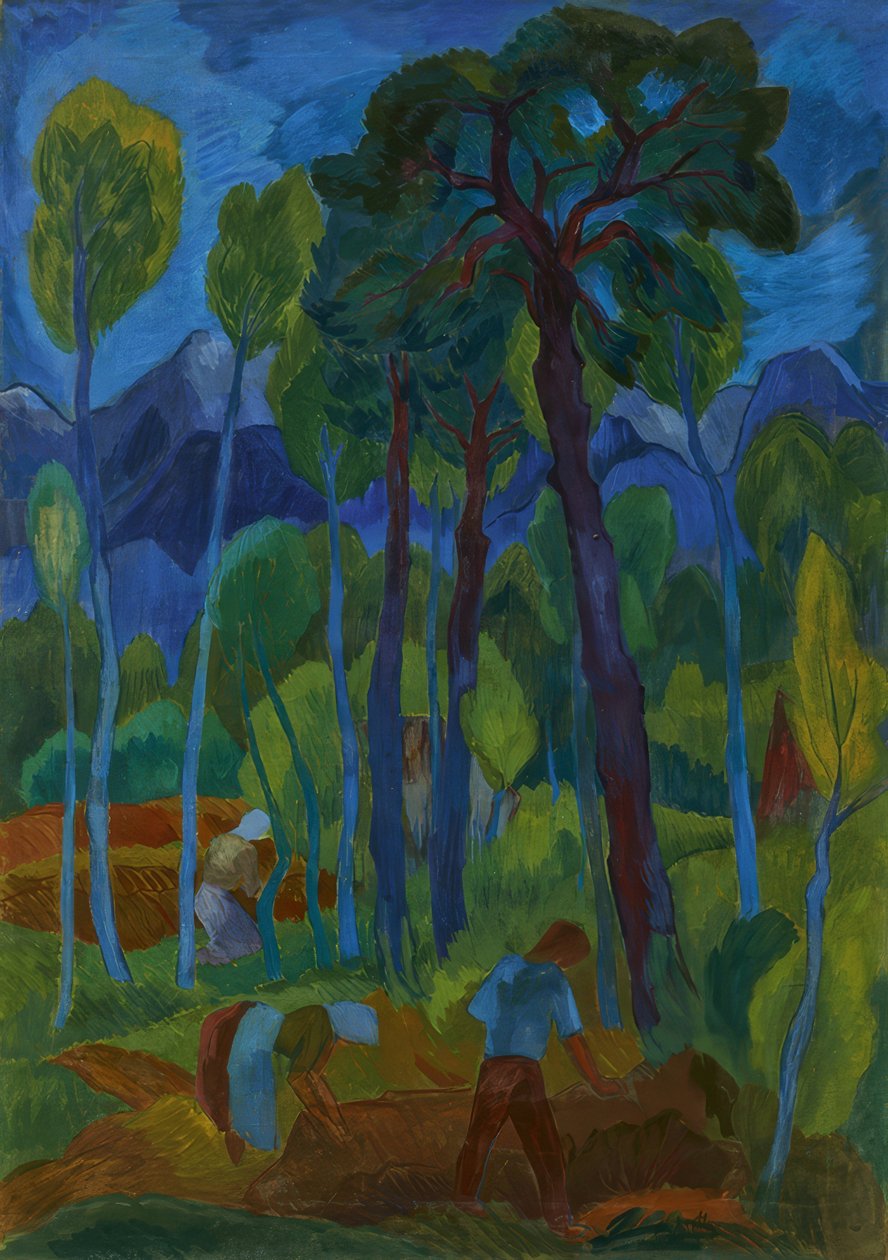 Moorlandschaft von Fritz Schaefler