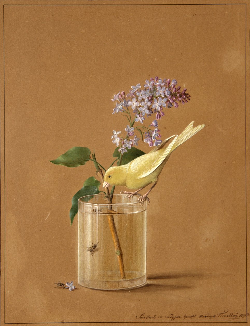 Kanarienvogel auf einem Fliederzweig, 1819 von Fyodor Petrovich Tolstoy