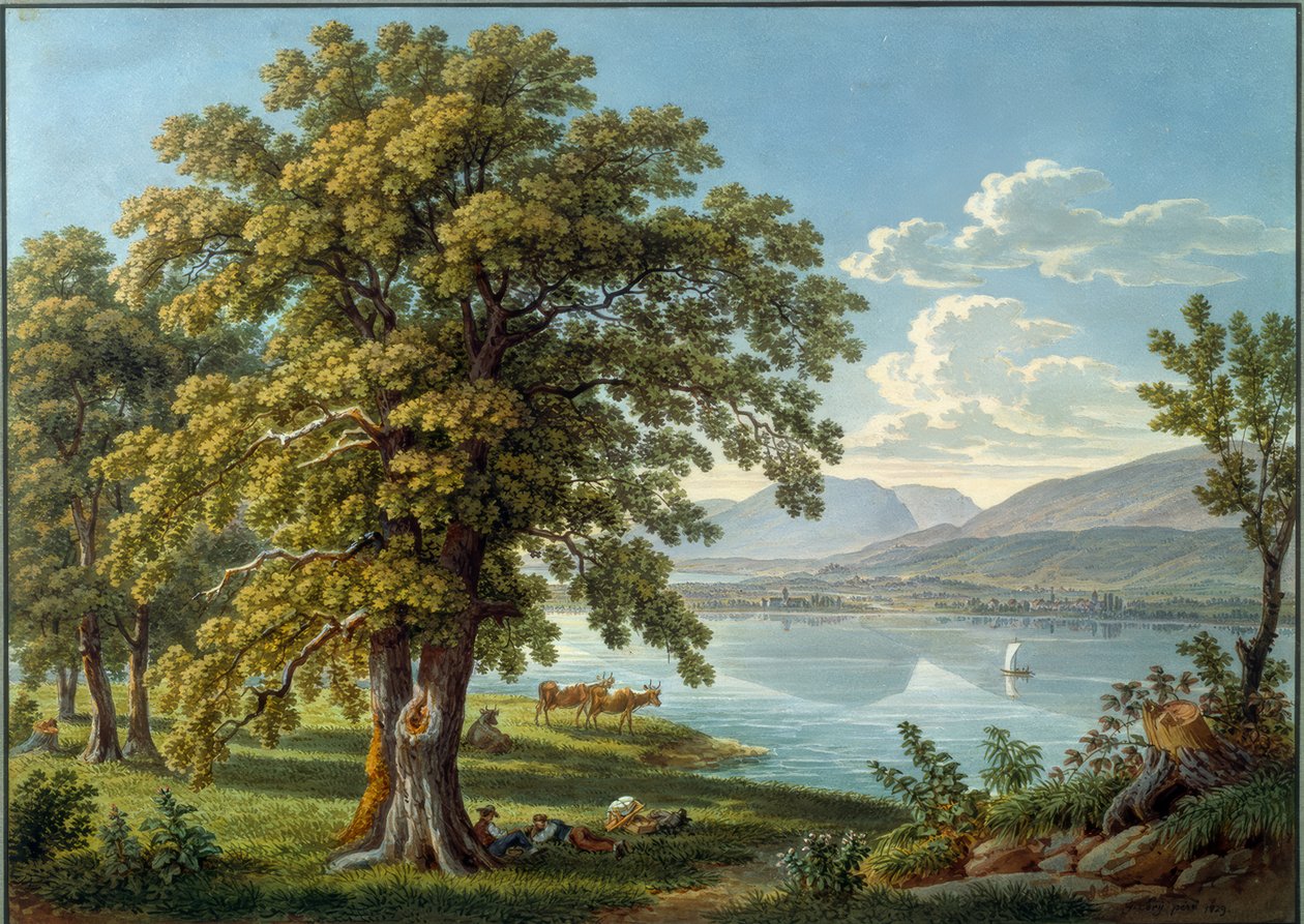 Blick von der St. Petersinsel auf den Bielersee von Gabriel Lory