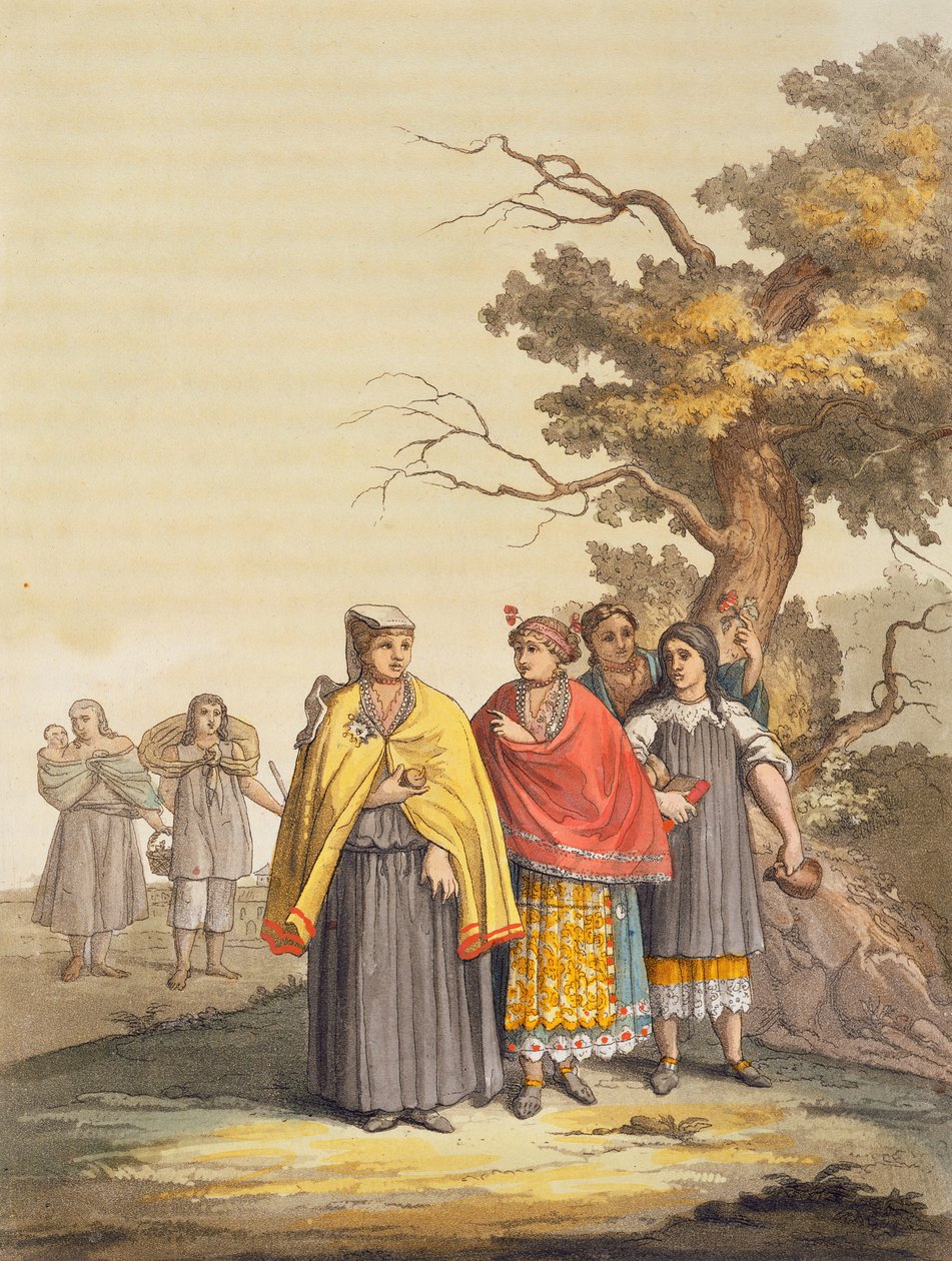 Die Caciche-Indianer in traditionellen Kostümen, Nova Granada, Brasilien von Gallo Gallina