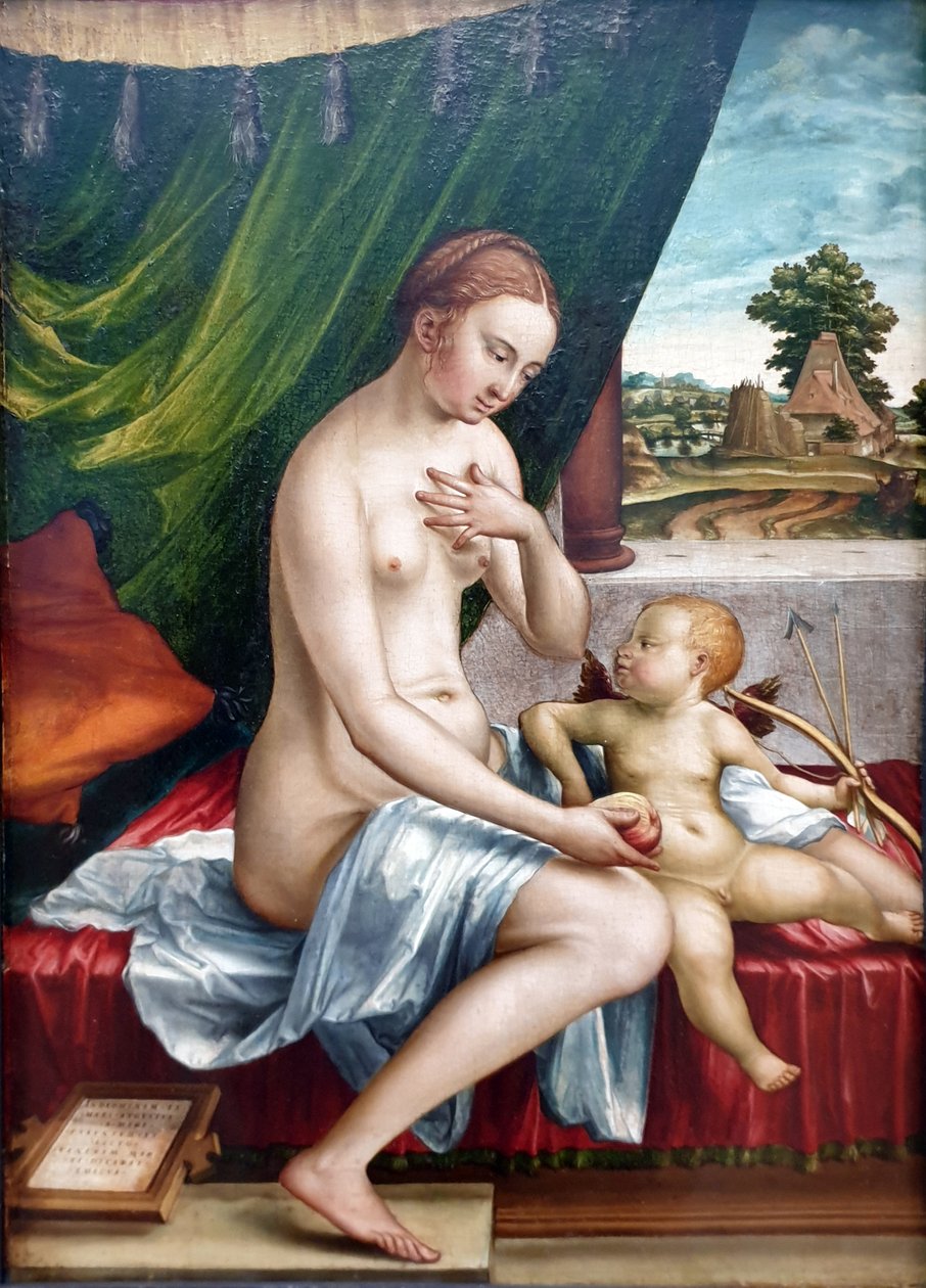 Venus und Amor von Georg Pencz