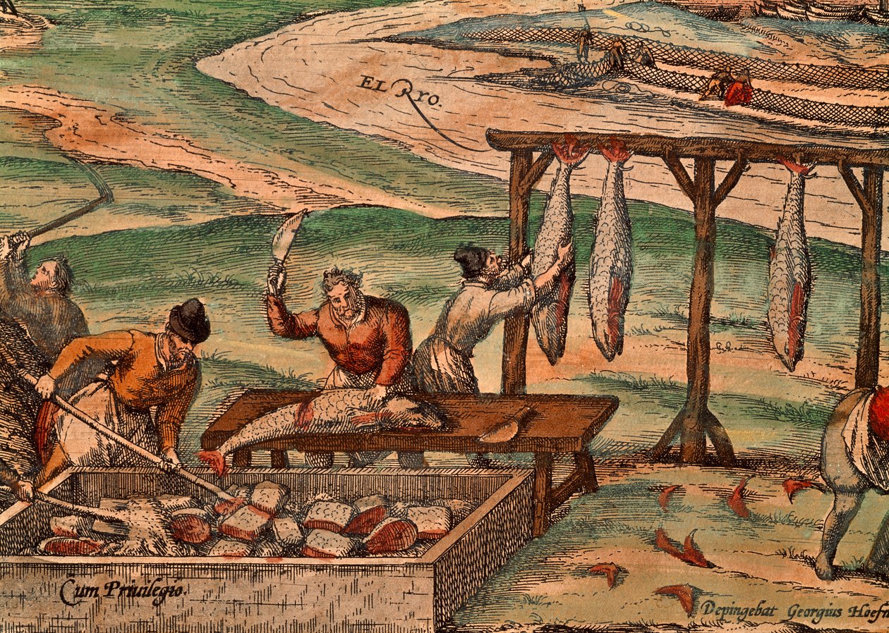 Thunfischverarbeitung, Szene aus Civitates Orbis Terrarum von Georg Braun and Hogenberg Franz