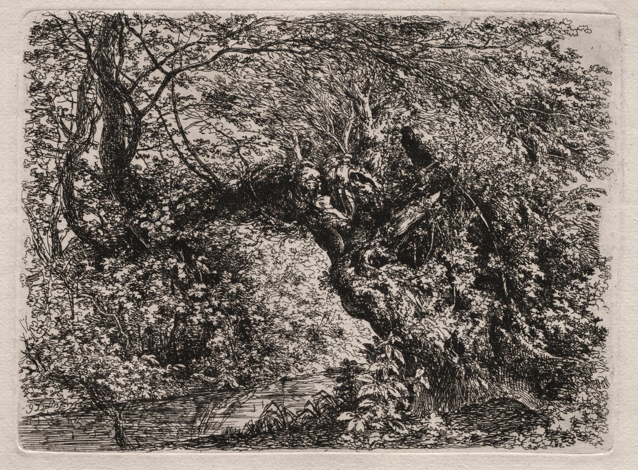 Die alte Weide an einem Bach, 1794 von Georg von Dillis