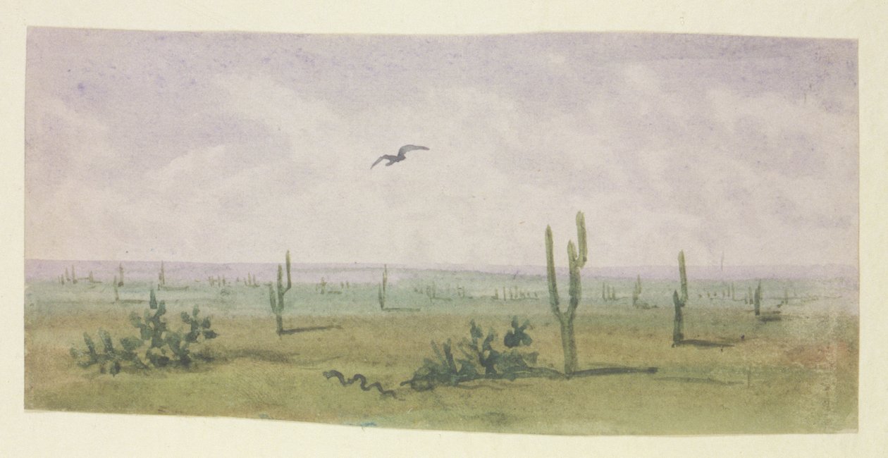 Der amerikanische Boa Constrictor von George Sand
