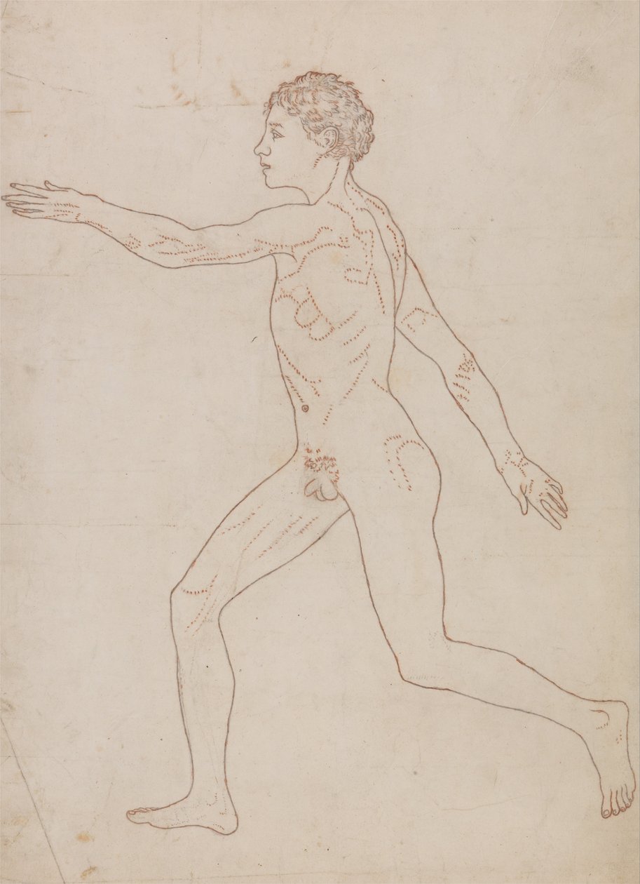 Vergleichende anatomische Darstellung der Struktur des menschlichen Körpers mit der eines Tigers und einer Kuh von George Stubbs