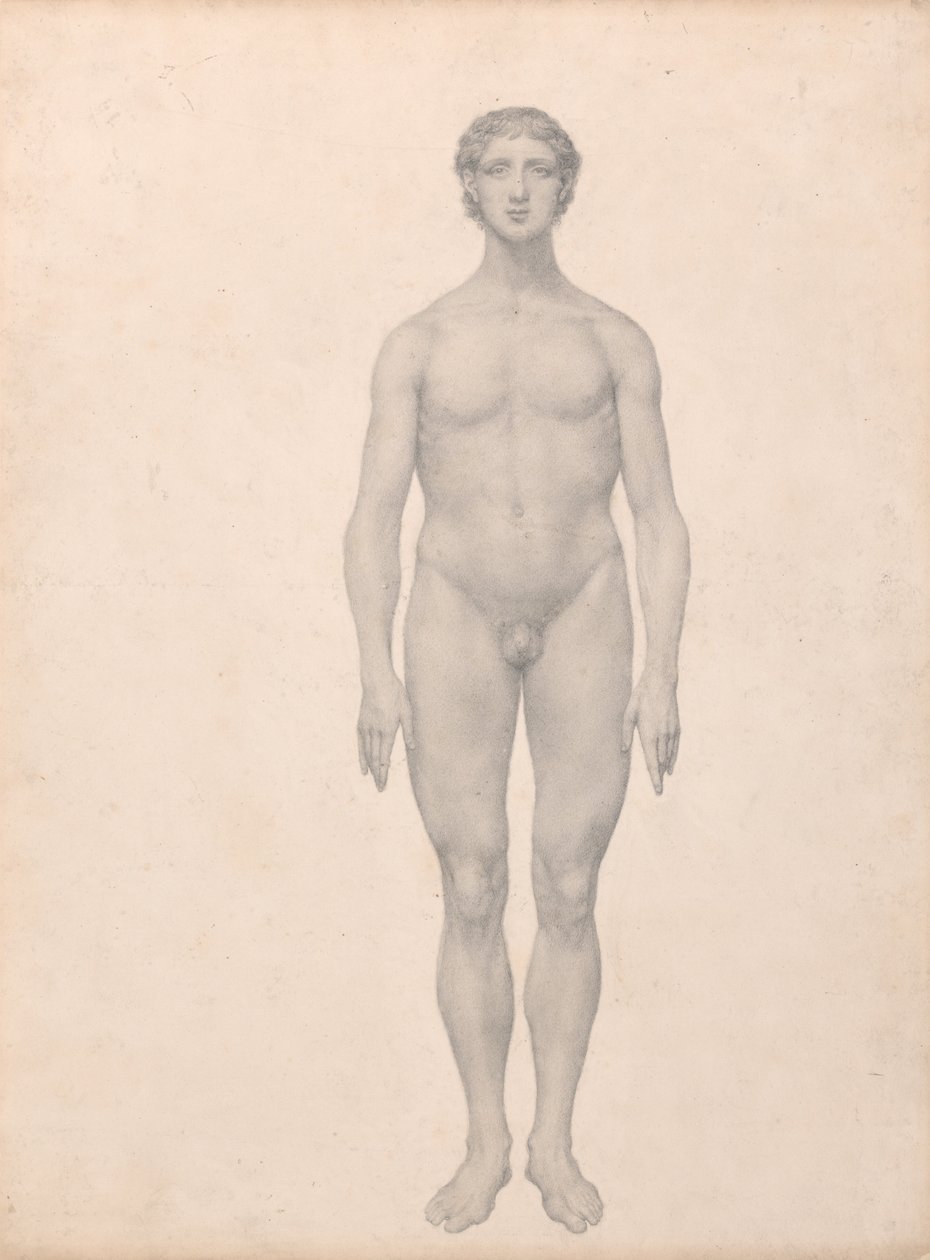 Vergleichende anatomische Darstellung der Struktur des menschlichen Körpers mit der eines Tigers und einer Kuh von George Stubbs