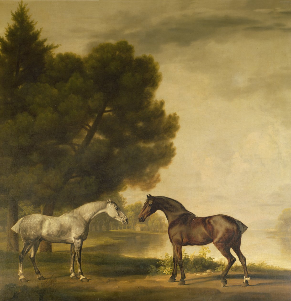 Ein Grauer und ein Brauner in einer Landschaft