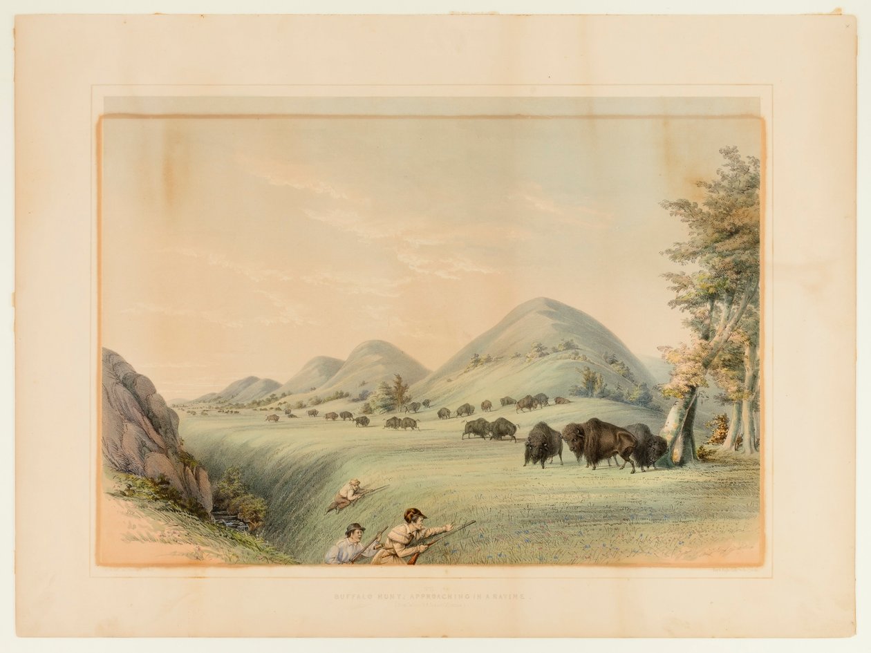 Büffeljagd; Annäherung in einer Schlucht--Nr. 11 von George Catlin