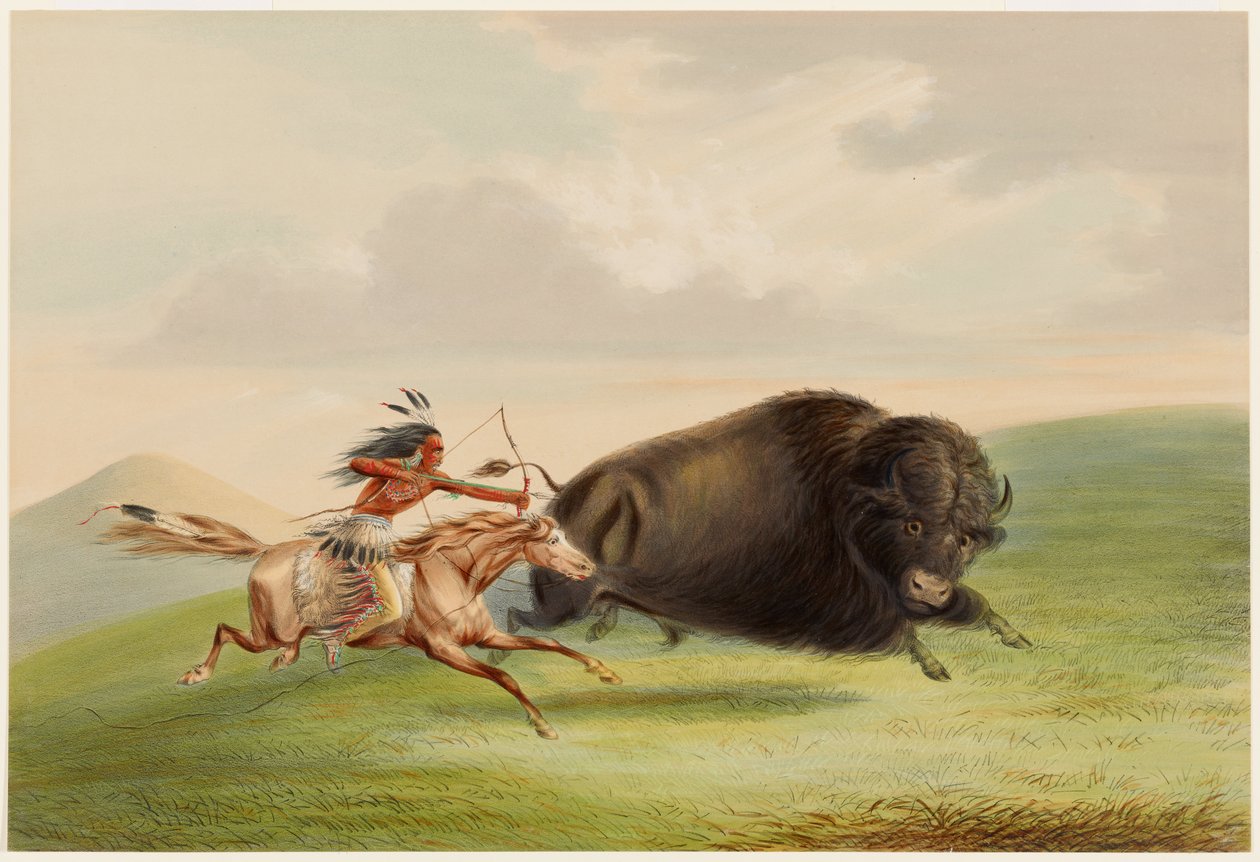 Büffeljagd, Verfolgung von George Catlin