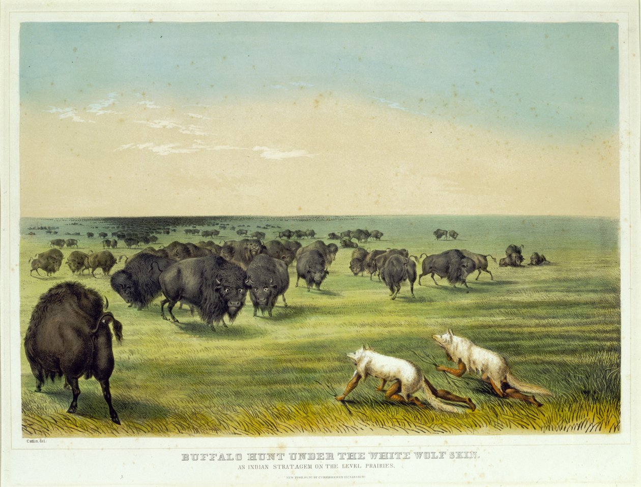 Büffeljagd unter der weißen Wolfshaut von George Catlin