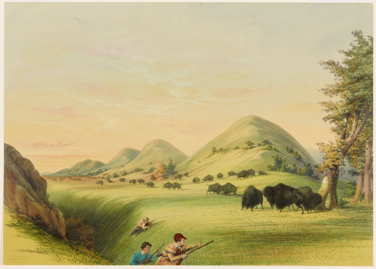 Büffeljagd, Annäherung in einer Schlucht von George Catlin