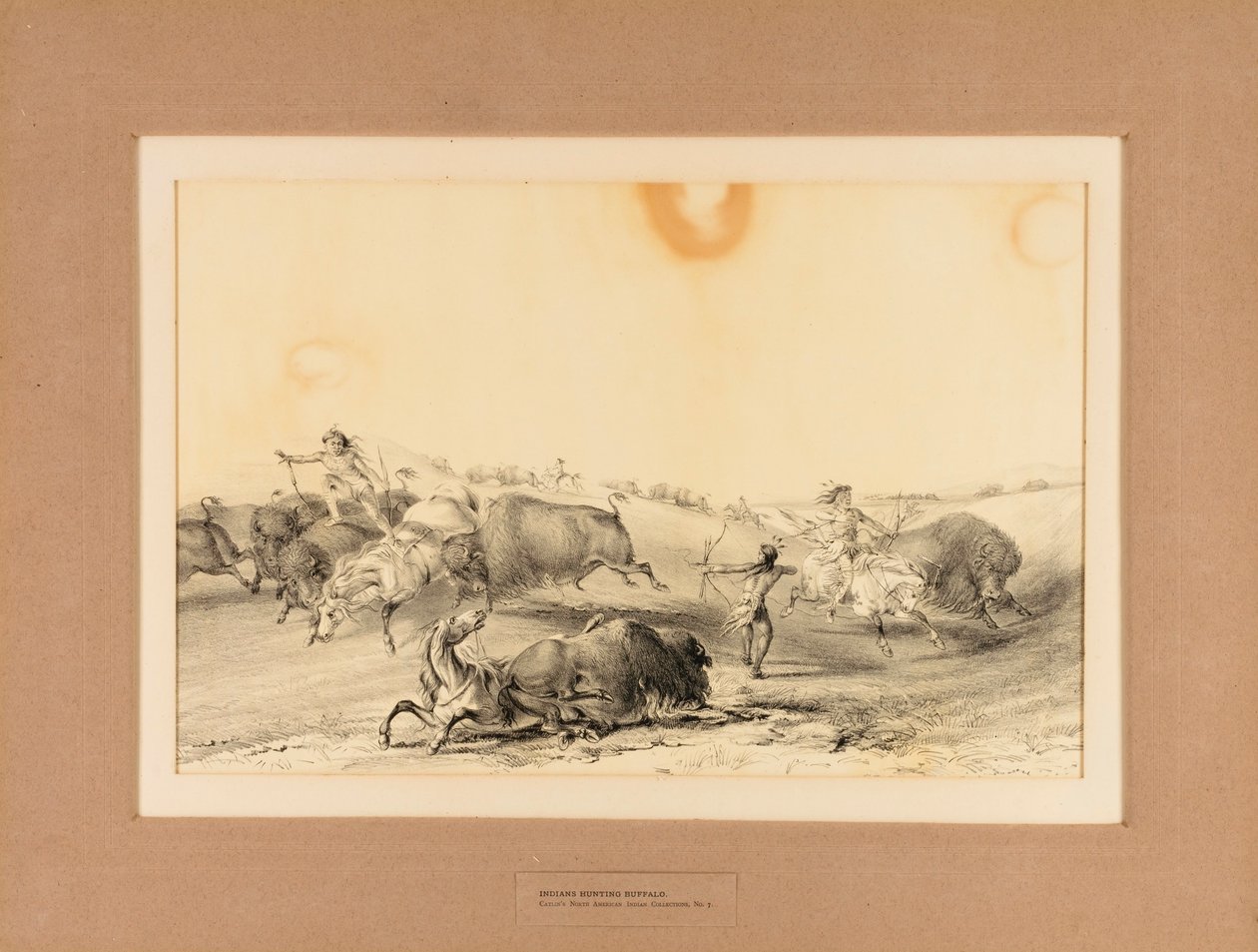 Indianer jagen Büffel--Nr. 7 von George Catlin