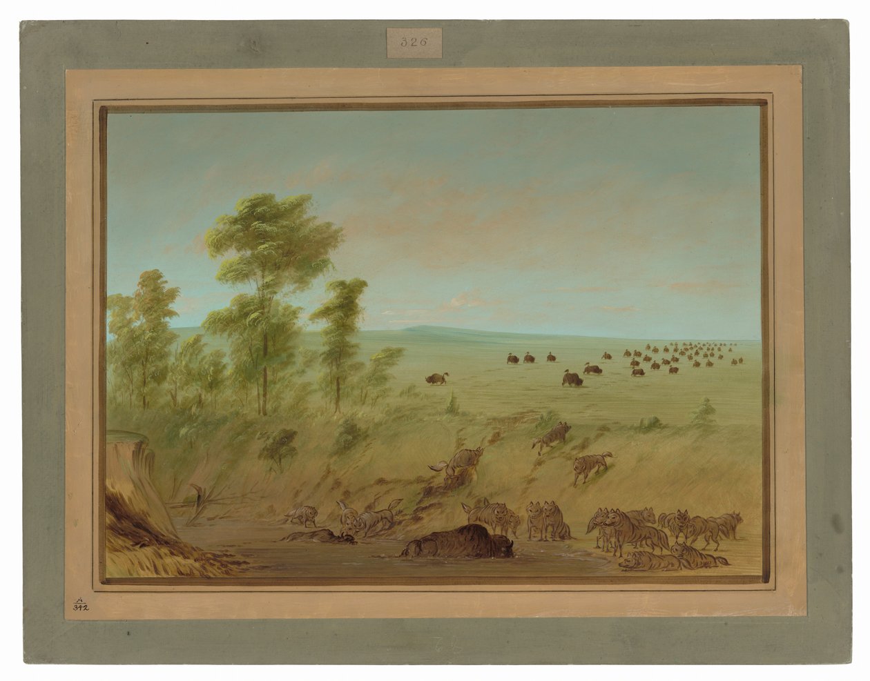 Im Schlamm steckender Büffel und Wölfe von George Catlin