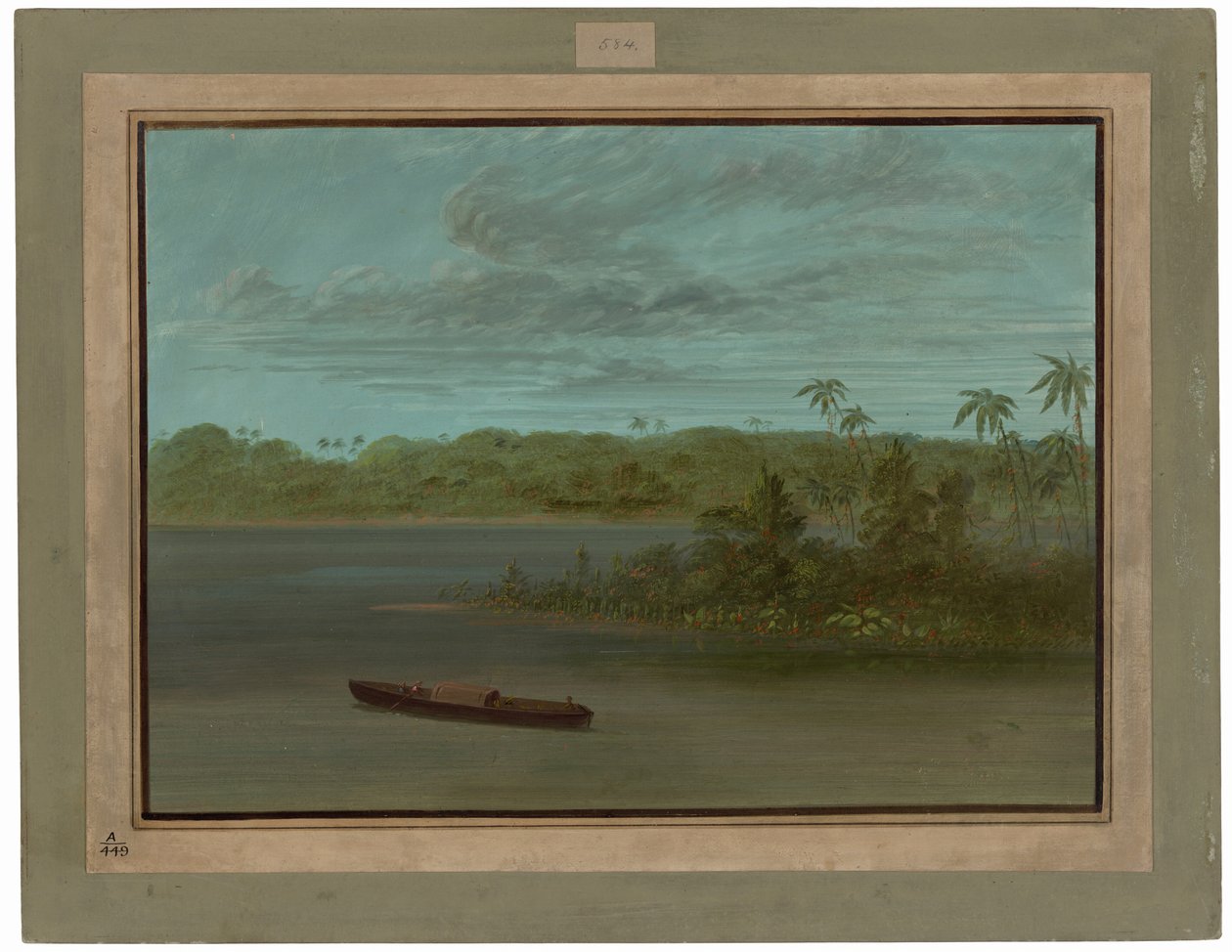 Mündung des Rio Purus von George Catlin