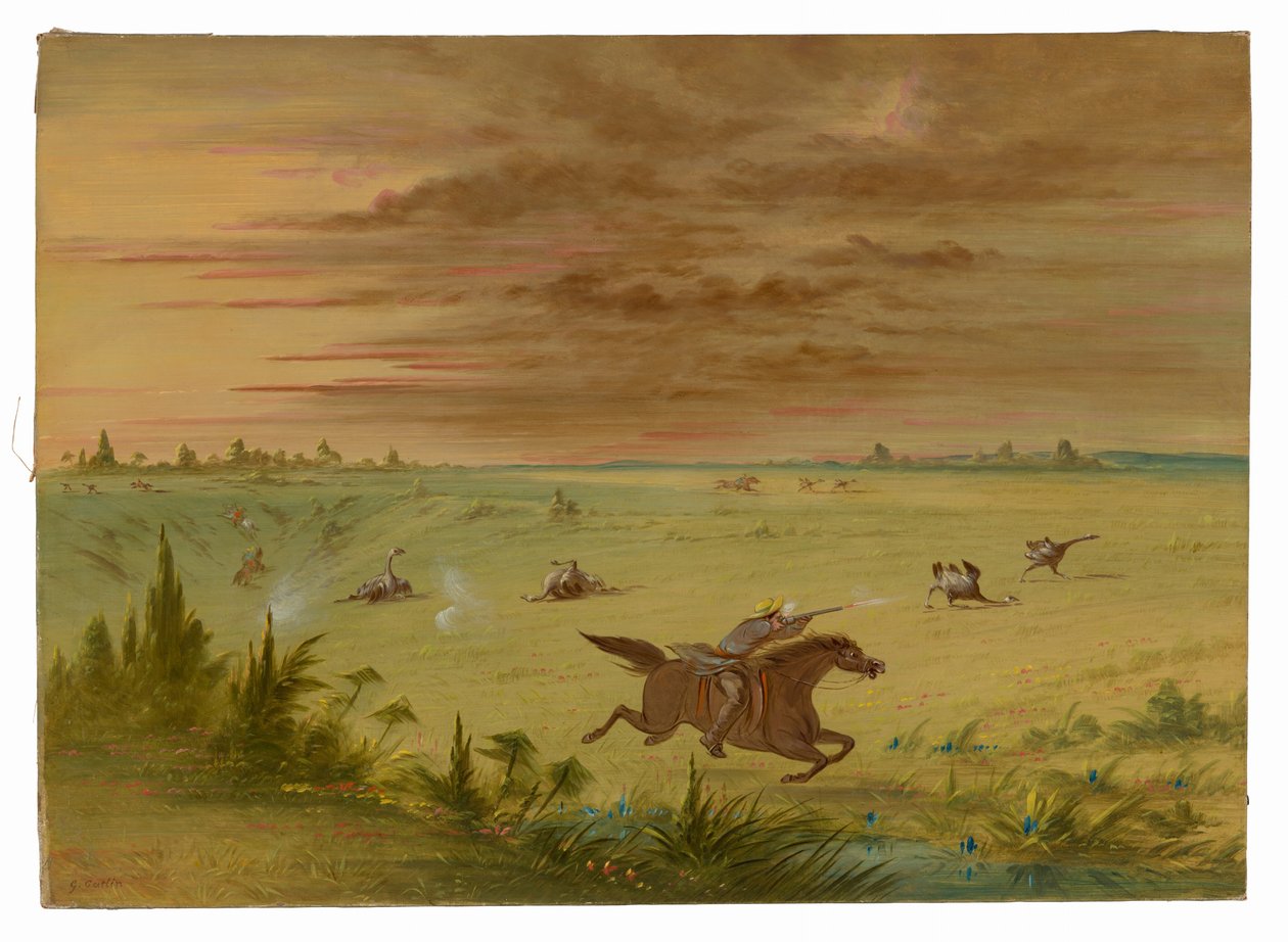 Straußenjagd, Buenos Aires - Auca von George Catlin