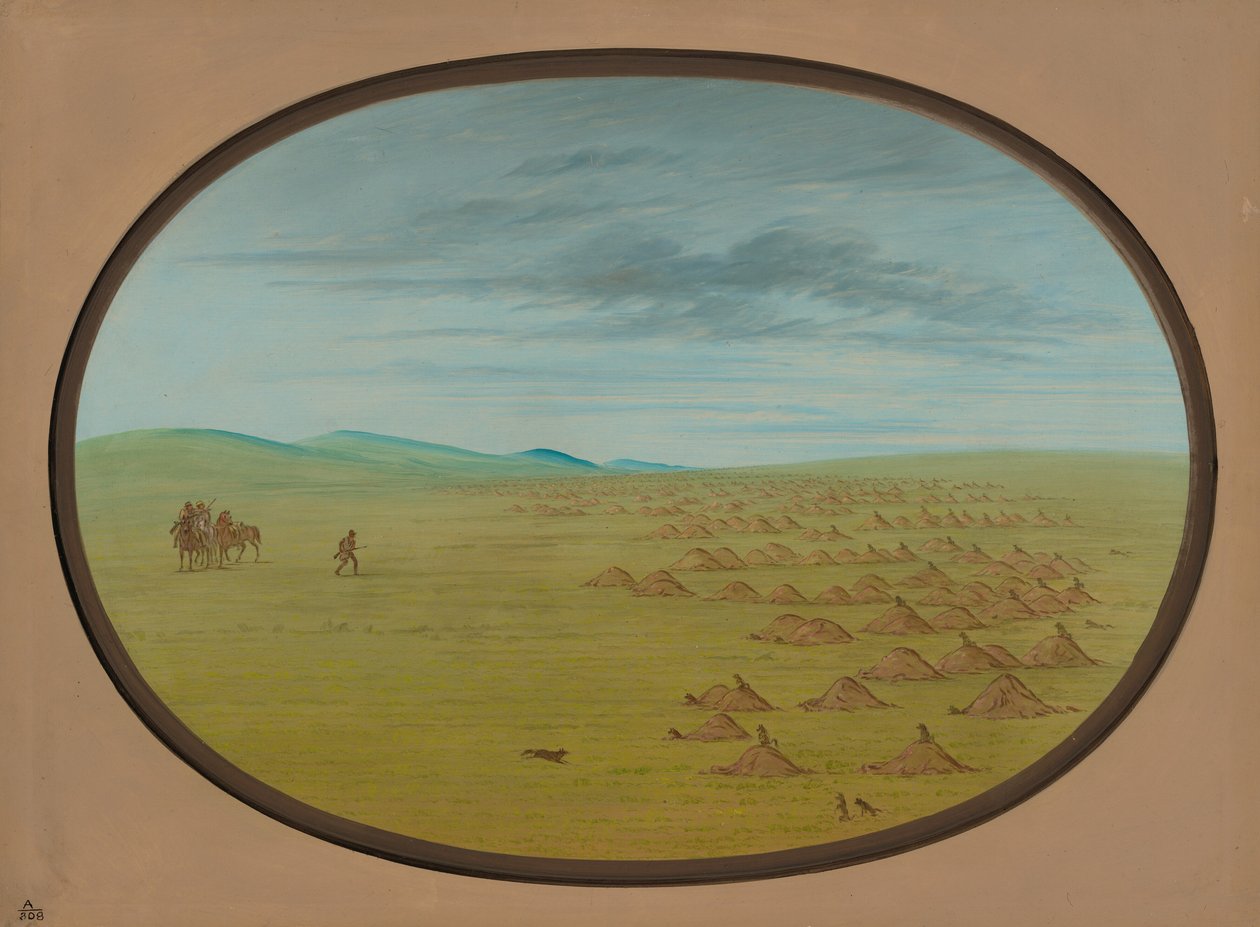 Präriehunddorf, 1861-1869 von George Catlin