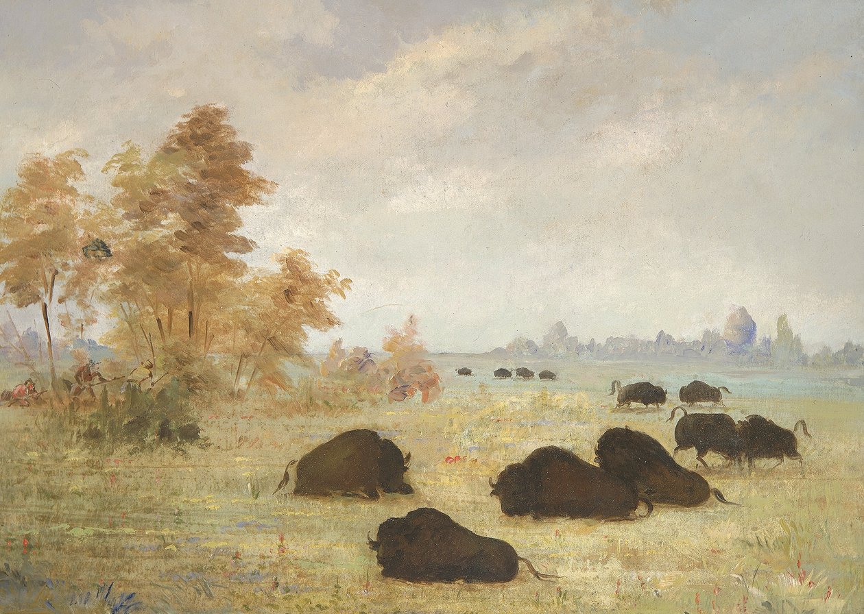 Büffel jagen, Arkansas von George Catlin
