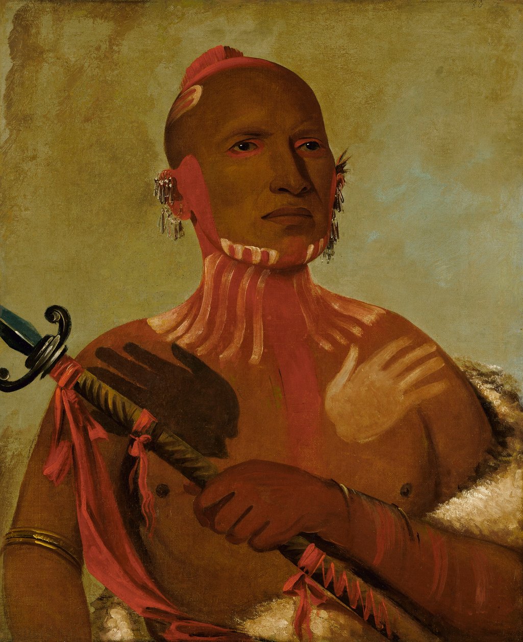 Wée-sheet, Störkopf, ein Fuchs-Krieger von George Catlin