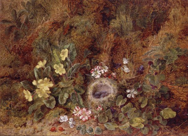 Stillleben mit Vogelnest und Wildblumen von George Clare