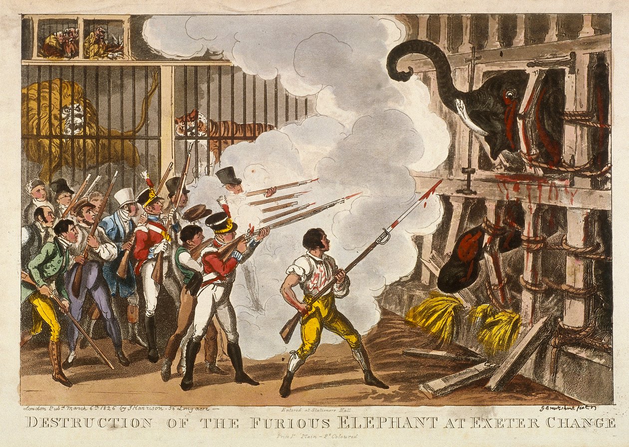 Zerstörung des wütenden Elefanten im Exeter Change, 1826 von George Cruikshank