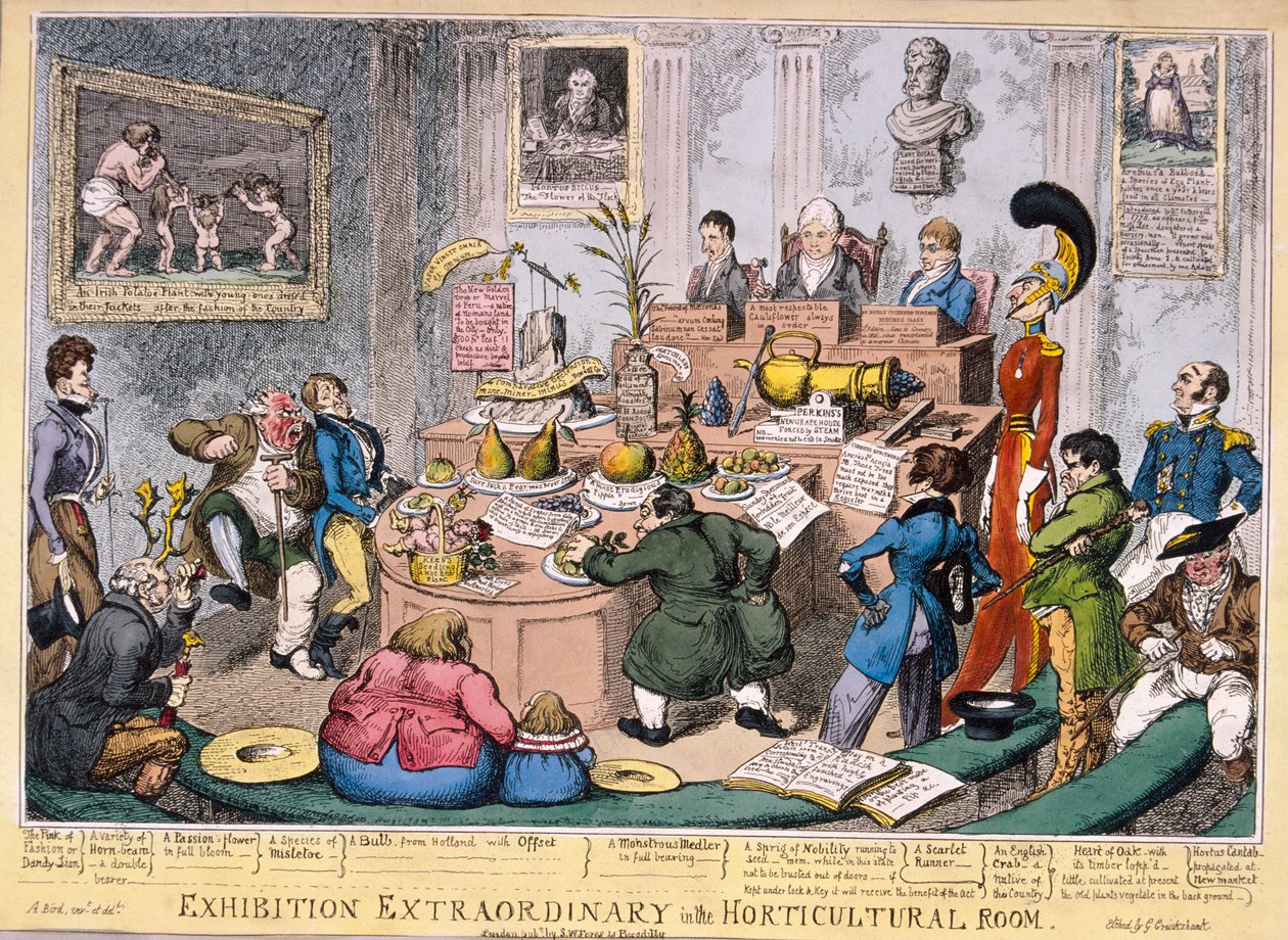 Ausstellung der Royal Horticultural Society, London von George Cruikshank
