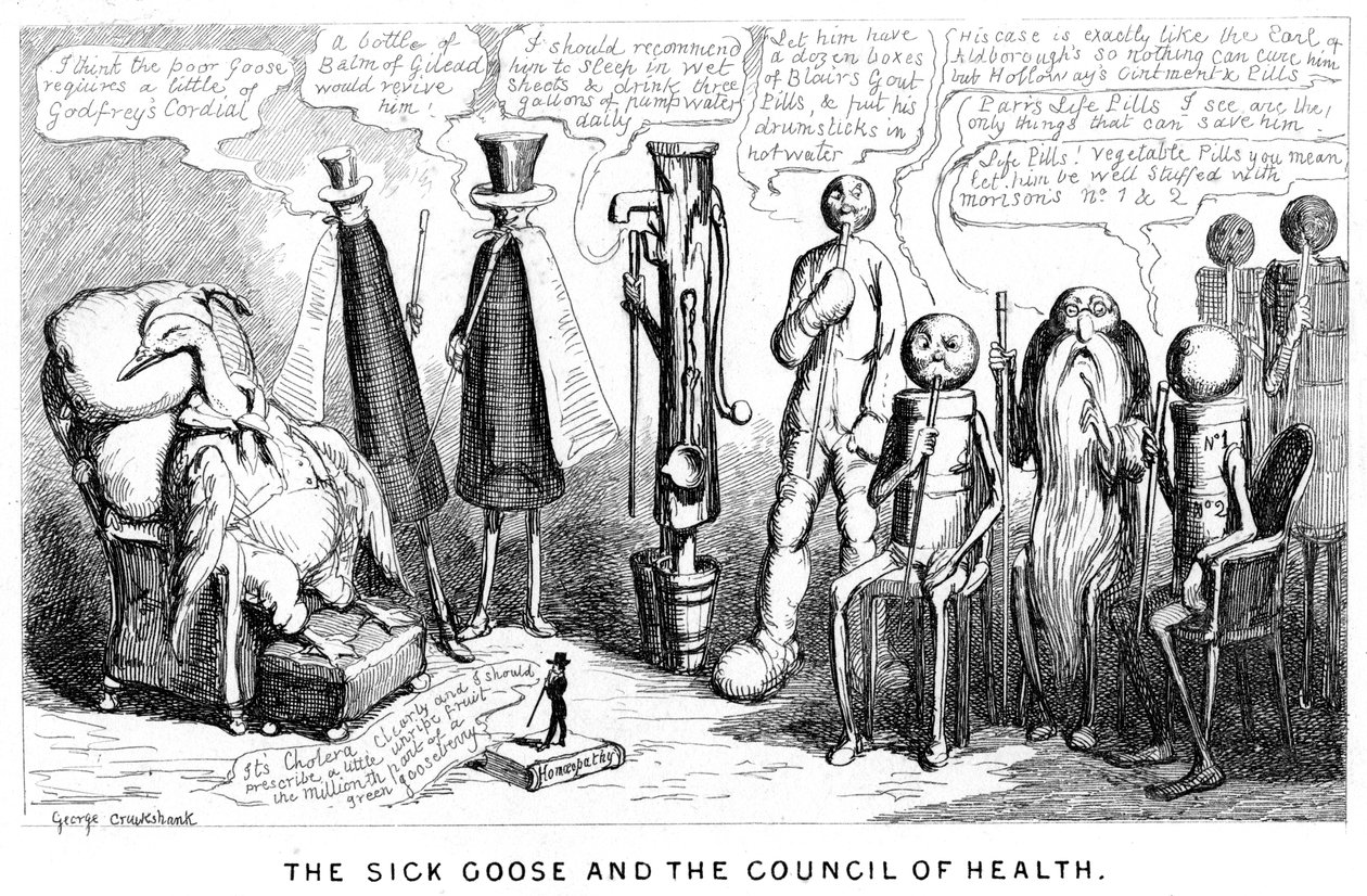 Die kranke Gans und der Gesundheitsrat, 19. Jahrhundert von George Cruikshank